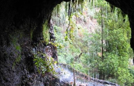 La Casa del Abuelo - Foto 21