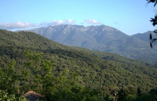 Casa Giacometti - Foto 46