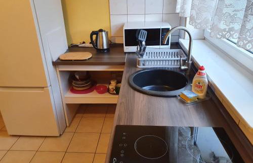 Newland Wójtowicz - Foto 6