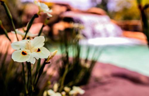 Hotel Fazenda Horizonte Belo - Foto 73