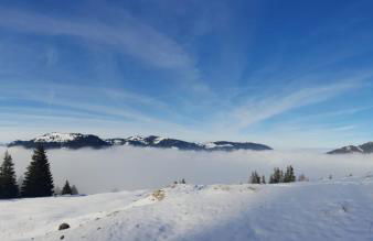 Allgäu Bergluft - Photo 54