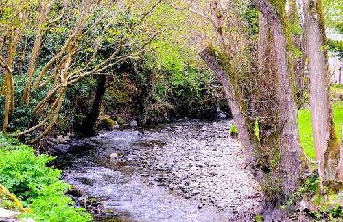 Hafannedd Cottage - riverside views - Photo 31