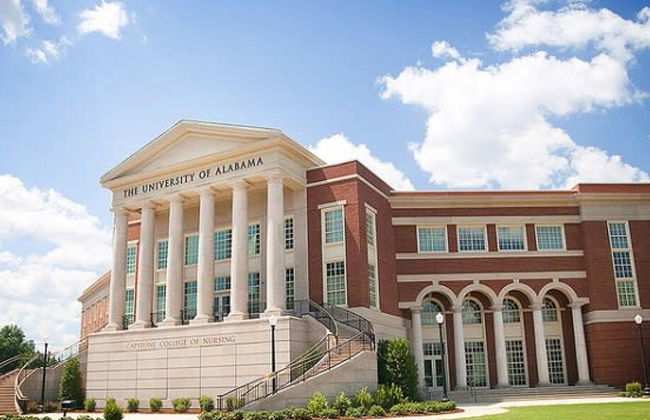 Alabama Slammer Game-day Home 5-mile to Stadium - Foto 56