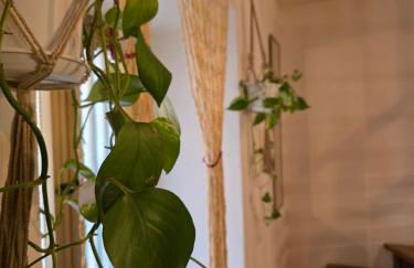 Domu Malaspina - Photo 5