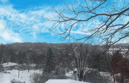 Top of the Hill, Meadowbrook - Foto 49