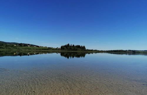 Appartement T3 60m2 calme - Foto 28