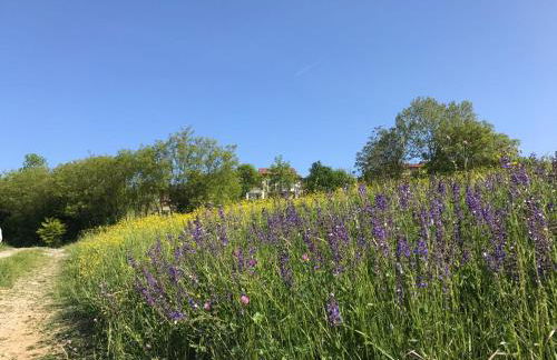 La Casa Blu - Foto 41