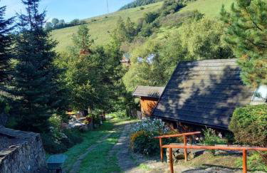 Kalinowa Chata - Foto 2