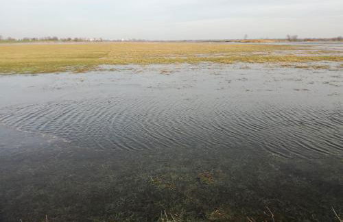 Gutshaus am Nationalpark Unteres Odertal - Foto 55