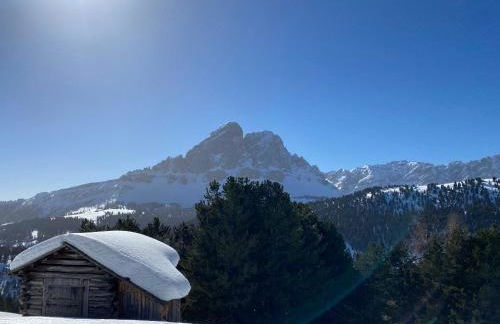 La ciasota - Photo 41