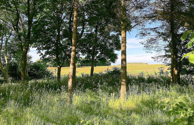 Tranquil Fishing Retreat-by Traum - Foto 23