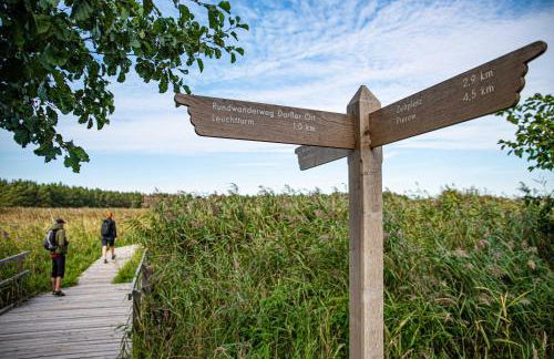 Sonnenblume in der Seefahrtschule - Foto 17