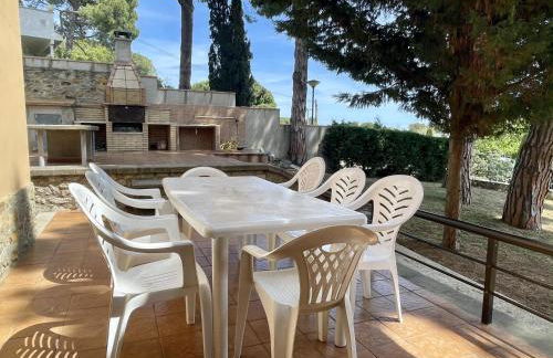 Museu Baixos - Foto 46