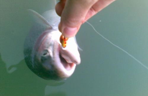 Agriturismo la Torre - Foto 69