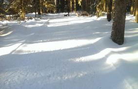 Schwarzwald geht immer Fewo 60 qm mit großem Südbalkon, WLAN und Magenta TV - Foto 29