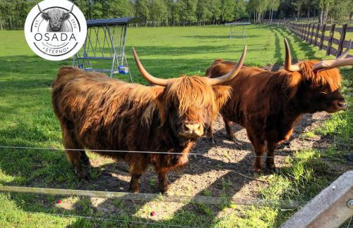 Osada Stepno - Foto 51