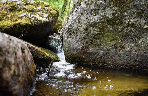 Casa Largo S Lourenço e Casa da Videira - Photo 21
