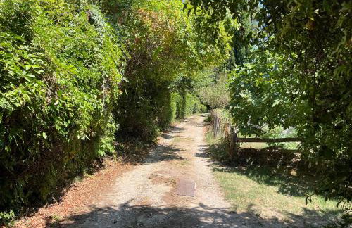 Cabane de la leque - Foto 47