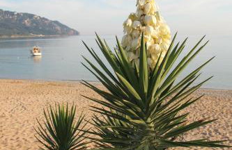 Kostas studios - Foto 38