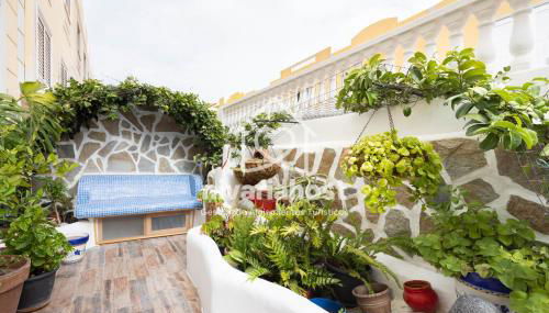 Ave Fénix San Isidro, by Nivariahost - Foto 3