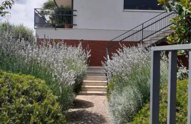 Alla Magnolia - Foto 3