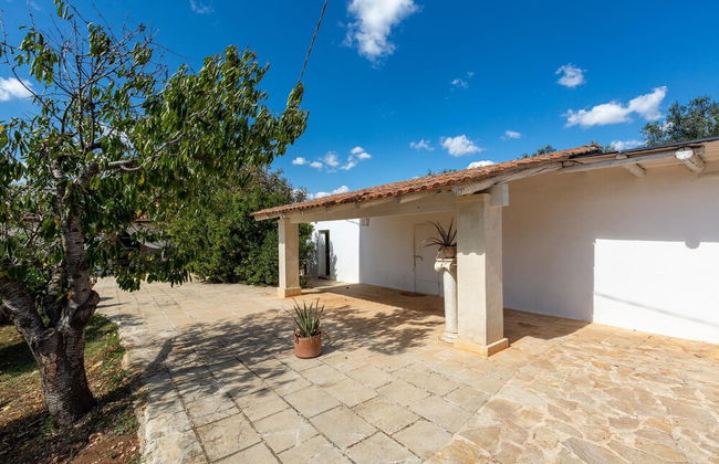 3128 Villa Nina by Perle di Puglia - Photo 46