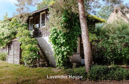 Lavender House - Foto 20