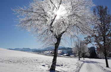 Villa im Wald - Photo 22