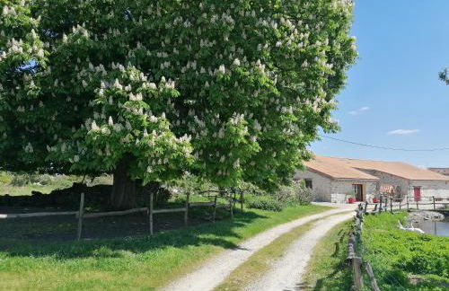 Gite Le marronnier - Parthenay - 10 personnes - Gite à la campagne à 3 kms du centre-ville - Foto 7