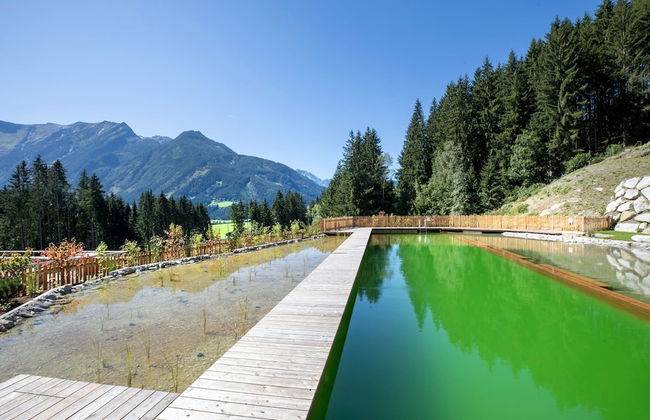 Chalet With Sauna in Neukirchen am Grossvenediger - Foto 33