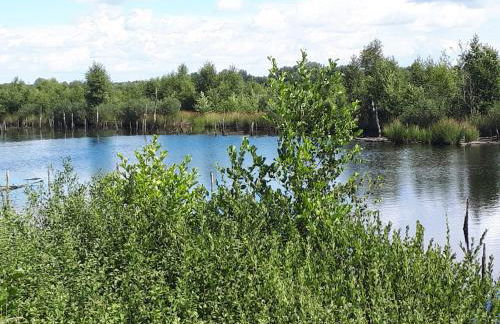 Haus am Moor - Foto 30