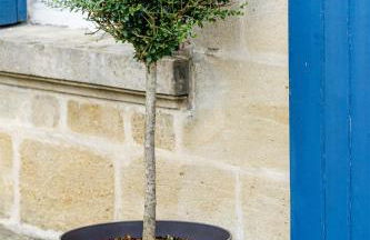 Les Suites d'Aliénor, Suite Cosy - Foto 29