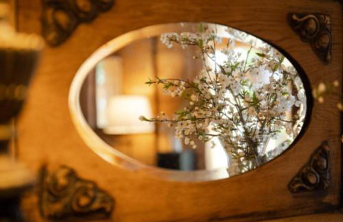 Butterfly Factory - Foto 27