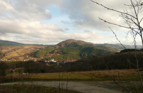 Domki na Polach Piwniczna-Zdrój - Foto 25