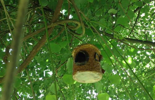 Alojamiento en entorno rural Los Trobos - Foto 40