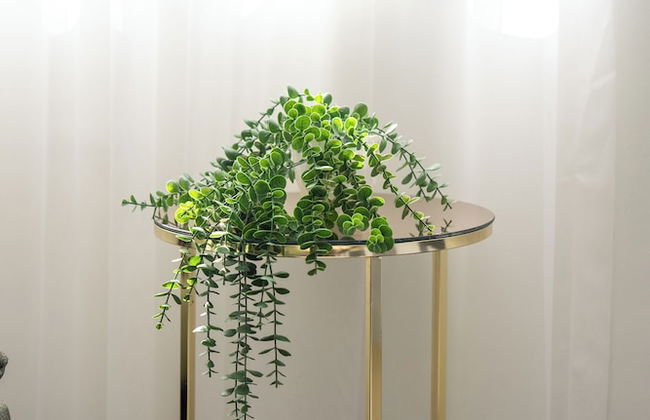 Sorta Hotel - Foto 67