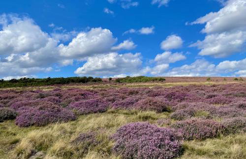 Church House Farm - Photo 104