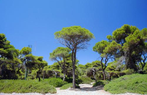 Vei Estate - Foto 25