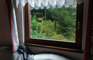 Góralski dom w Parku Krajobrazowym - Foto 31