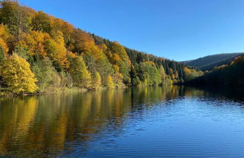 Waldläufer Brilon - Foto 48