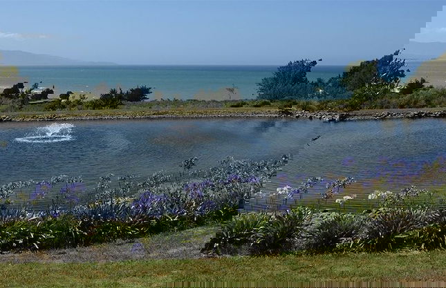 The Windhover Estate - Foto 17