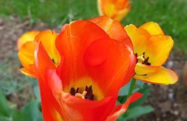 Apartman MAURO - Foto 20