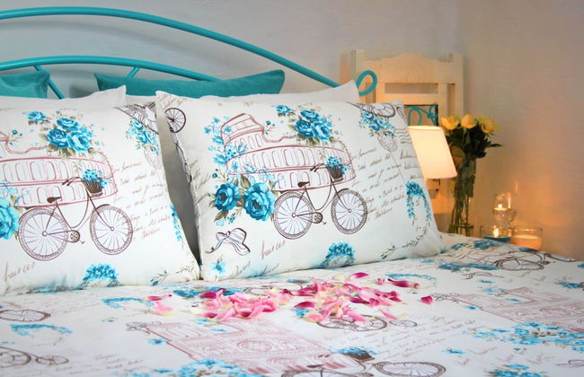 Maltese Maltese - Foto 9