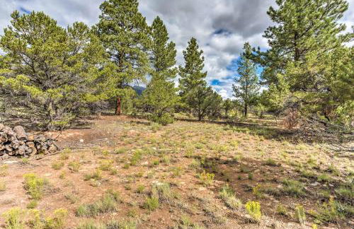 Cozy Buena Vista Apartment Less Than 4 Mi to Main Street! - Foto 1