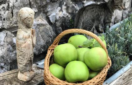 Masia Cap del Roc - Photo 46