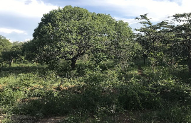 Our Place - Photo 35