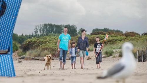 Reihenhaus im Ostseeresort Dampland - Foto 2