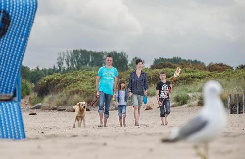 Reihenhaus im Ostseeresort Dampland - Foto 2