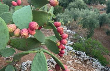 PaolOttaviA - Foto 63