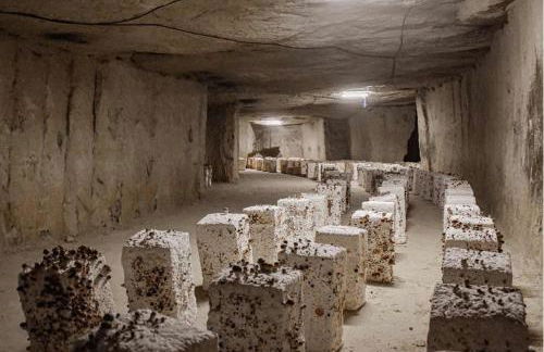 La Petite Caravelle 2 pièces sur jardin - Foto 16